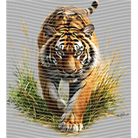 Animal Integration-DW 1804